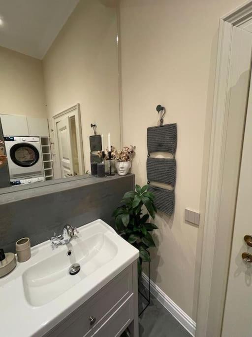 Lucrib Apartment คลูจ-นาโปกา ภายนอก รูปภาพ